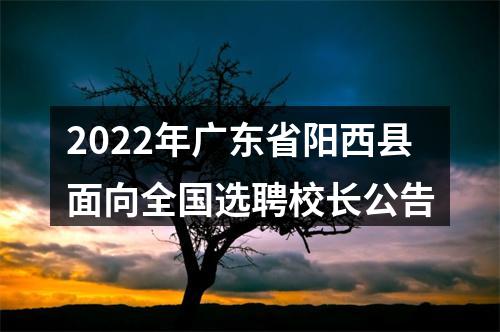 2022年广东省阳西县面向全国选聘校长公告 图片