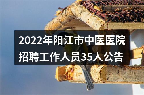 2022年阳江市中医医院招聘工作人员35人公告 图片