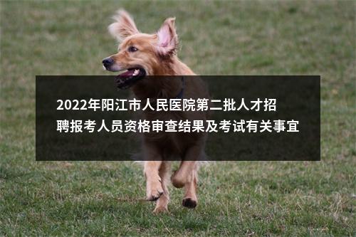 2022年阳江市人民医院第二批人才招聘报考人员资格审查结果及考试有关事宜的通知 图片