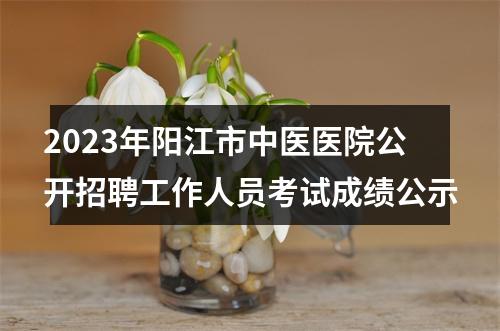 2023年阳江市中医医院公开招聘工作人员考试成绩公示 图片