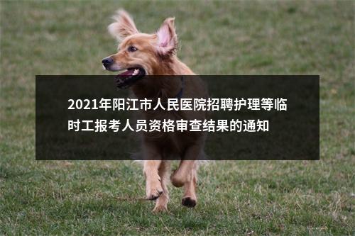 2021年阳江市人民医院招聘护理等临时工报考人员资格审查结果的通知 图片