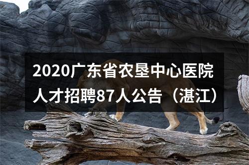 2020广东省农垦中心医院人才招聘87人公告（湛江） 图片