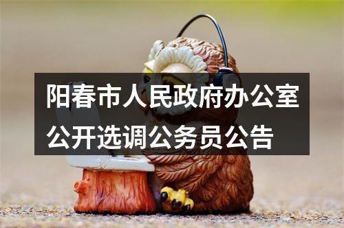 阳春市人民政府办公室公开选调公务员公告 图片