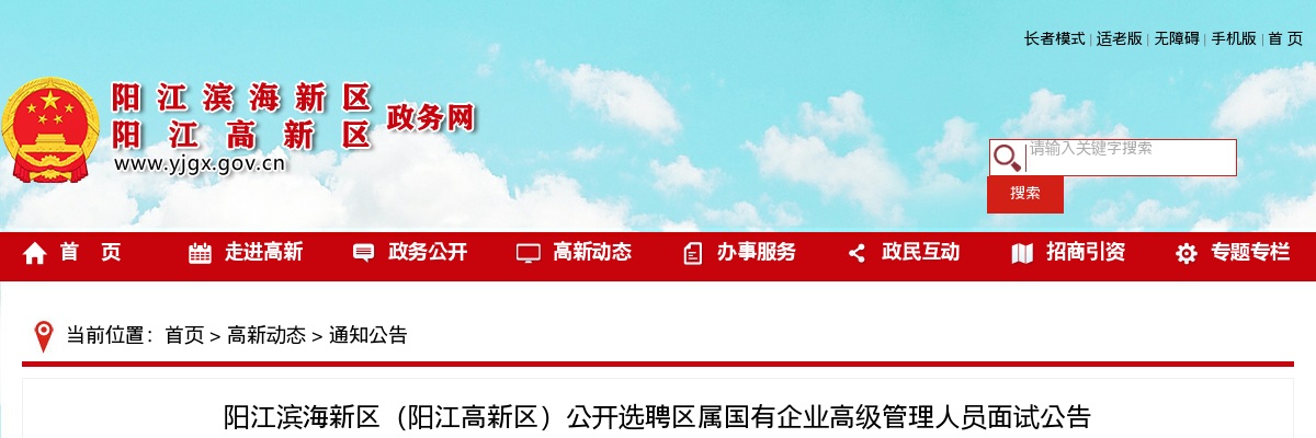 2023年阳江滨海新区（阳江高新区）公开选聘区属国有企业高级管理人员面试公告 图片
